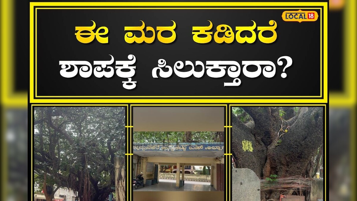 Bengaluru Banyan Tree ಬೆಂಗಳೂರಿನಲ್ಲಿರುವ ಈ ಆಲದ ಮರದ ರೆಂಬೆ ಕಡಿದರೆ ಶಾಪಕ್ಕೆ