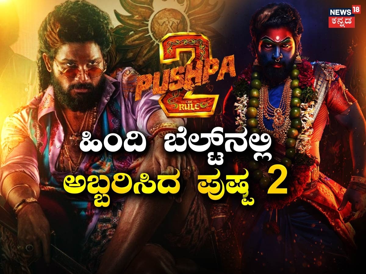 pushpa 2 movie breaks records of highest opening in hindi cinema beating jawan pathan animal