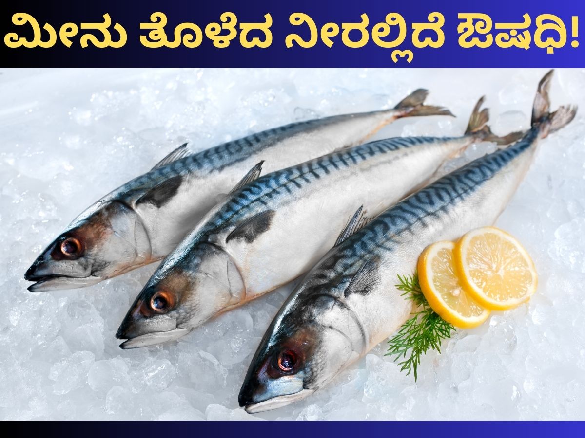 Fish: ಮೀನು ತೊಳೆದ ನೀರನ್ನು ಸುಮ್ಮನೆ ಚೆಲ್ಲುತ್ತೀರಾ? ಇದರ ಉಪಯೋಗ ಗೊತ್ತಾದ್ರೆ ...