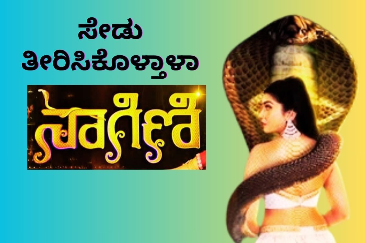 ನಾಗಿಣಿ ನಿಜಕ್ಕೂ ಸೇಡು ತೀರಿಸಿಕೊಳ್ಳುತ್ತಾ?