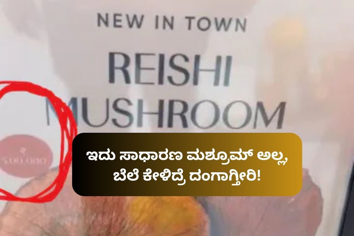 ಈ ಮಶ್ರೂಮ್ ಬೆಲೆ ಬರೋಬ್ಬರಿ 5 ಲಕ್ಷ ರೂಪಾಯಿ; ಅಂತಹದ್ದೇನಿದೆ ತಿಳಿದ್ರೆ ಬೆಚ್ಚಿ ಬೀಳ್ತೀರಿ!