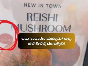 ಸಾಂದರ್ಭಿಕ ಚಿತ್ರ