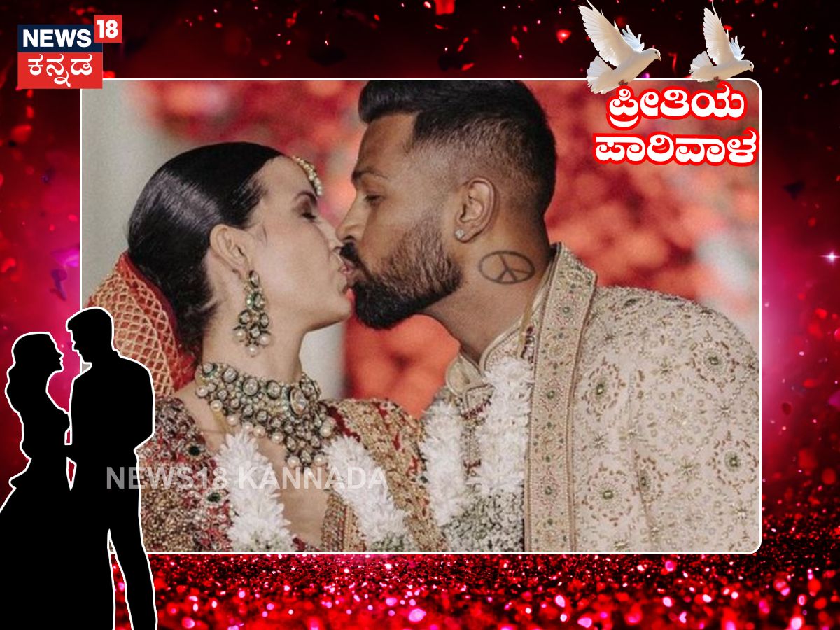 preethiya parivala Hardik Pandya and Natasa Stankovic Divorce how cricketer fell in love with actress