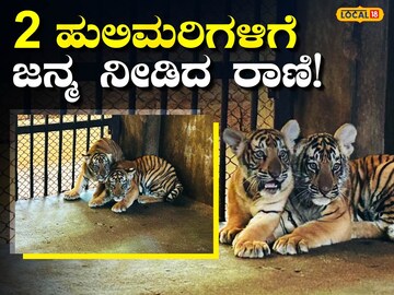 ವಿಡಿಯೋ