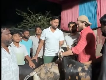 ಆವೇಶ್ ಖಾನ್ ಮೇಕೆ ಖರೀದಿ