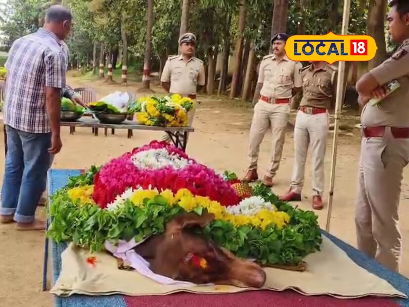Detective Raksha, Hassan: 200ಕ್ಕೂ ಹೆಚ್ಚು ಕೇಸ್ ಪತ್ತೆ ಮಾಡಿದ್ದ ಶ್ವಾನ ರಕ್ಷಾ ...