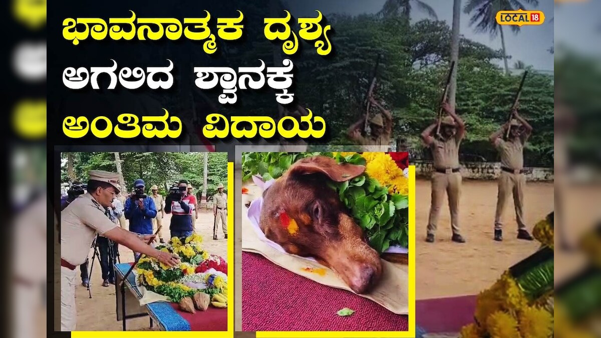 Detective Raksha, Hassan: 200ಕ್ಕೂ ಹೆಚ್ಚು ಕೇಸ್ ಪತ್ತೆ ಮಾಡಿದ್ದ ಶ್ವಾನ ರಕ್ಷಾ ...
