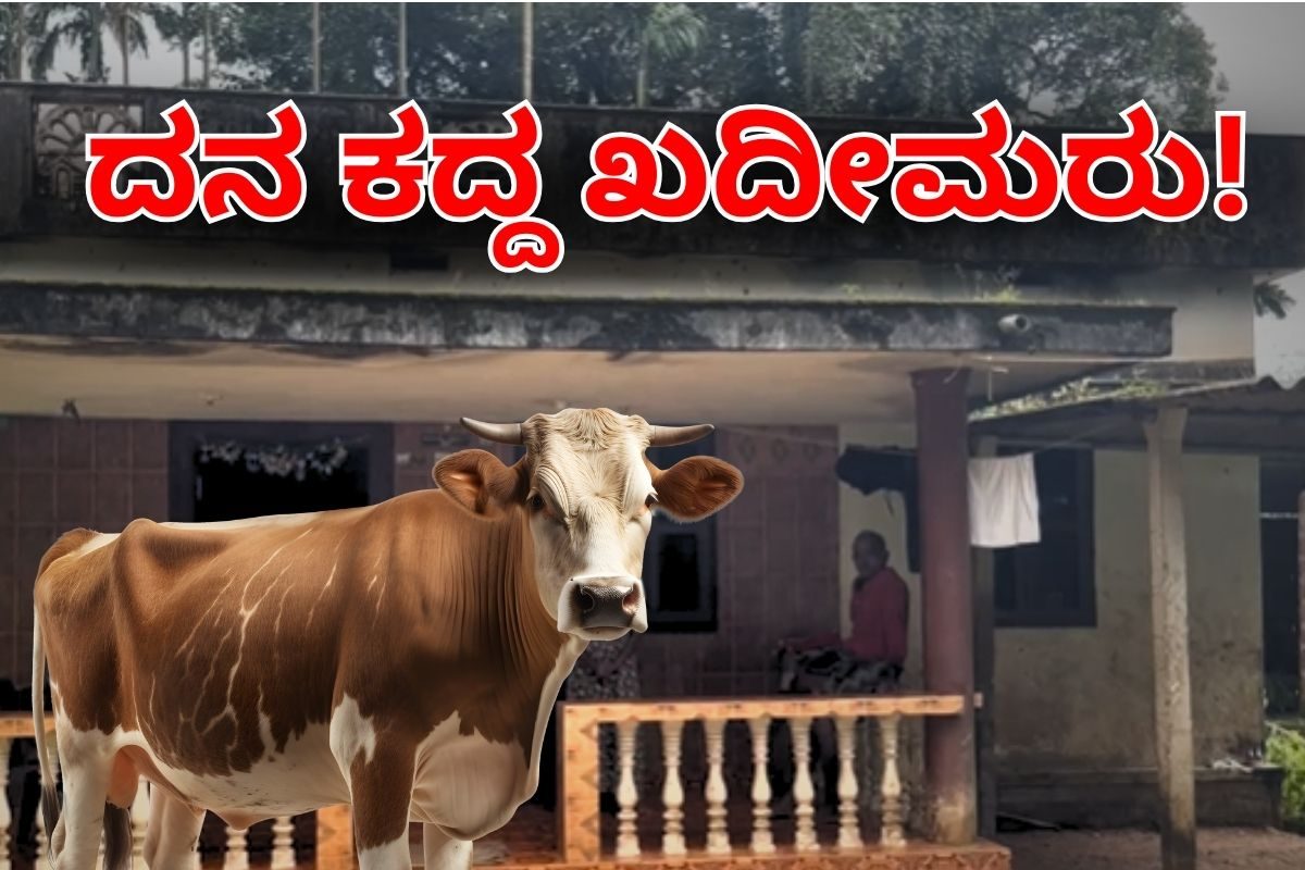 ಕೊಟ್ಟಿಗೆಯಿಂದಲೇ ದನ ಕಳುವು, ಮಾಲೀಕನ ಜಾಗದಲ್ಲೇ ಮಾಂಸ ಮಾಡಿ ಮಾರಾಟ! ಹಿಂದೂ ಸಂಘಟನೆಗಳಿಂದ ಉಗ್ರ ಪ್ರತಿಭಟನೆಯ ಎಚ್ಚರಿಕೆ | cow theft and meat transport exposed in Uppinangadi dakshina ...