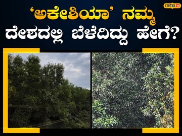 ಇಲ್ಲಿ