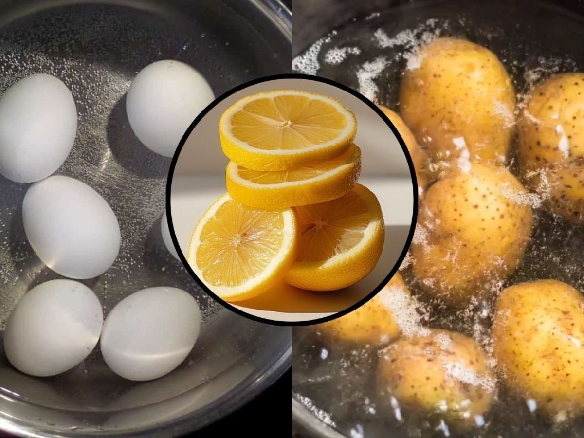 Curated visual reference: Boiling Eggs With Lemon Slices Reference: ಮ ಟ ಟ ಅಥವ ಆಲ ಗಡ ಡ ಬ ಯ ಸ