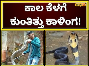ಇಲ್ಲಿ ವಿಡಿಯೋ ನೋಡಿ