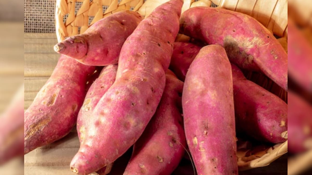 Sweet Potato: ಮಾರುಕಟ್ಟೆಯಲ್ಲಿರುವ ಅಸಲಿ-ನಕಲಿ ಸಿಹಿ ಗೆಣಸುಗಳನ್ನ ಗುರುತಿಸುವುದು ಹೇಗೆ? ಇಲ್ಲಿವೆ ನೋಡಿ ಕೆಲವು ಟಿಪ್ಸ್