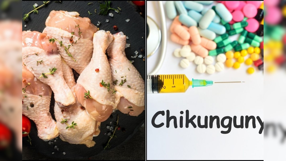 Chikungunya: ಕೋಳಿ ಮಾಂಸ ತಿಂದ್ರೆ ಚಿಕನ್​ಗುನ್ಯಾ ಬರುತ್ತಾ? ವೈದ್ಯರು ಹೇಳೋದು ಹೀಗೆ!