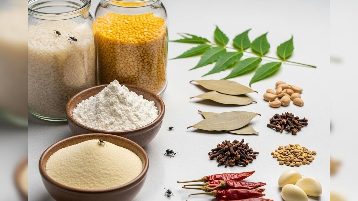 Rice-Dal Storage Tips: ಬೇಳೆ ಕಾಳುಗಳಲ್ಲಿ ಹುಳುಗಳ ಕಾಟನಾ? ಈ ಸಿಂಪಲ್ ಟ್ರಿಕ್ಸ್ ಟ್ರೈ ಮಾಡಿ, ತುಂಬಾ ಟೈಮ್ ಹಾಳಾಗೋದೇ ಇಲ್ಲ!