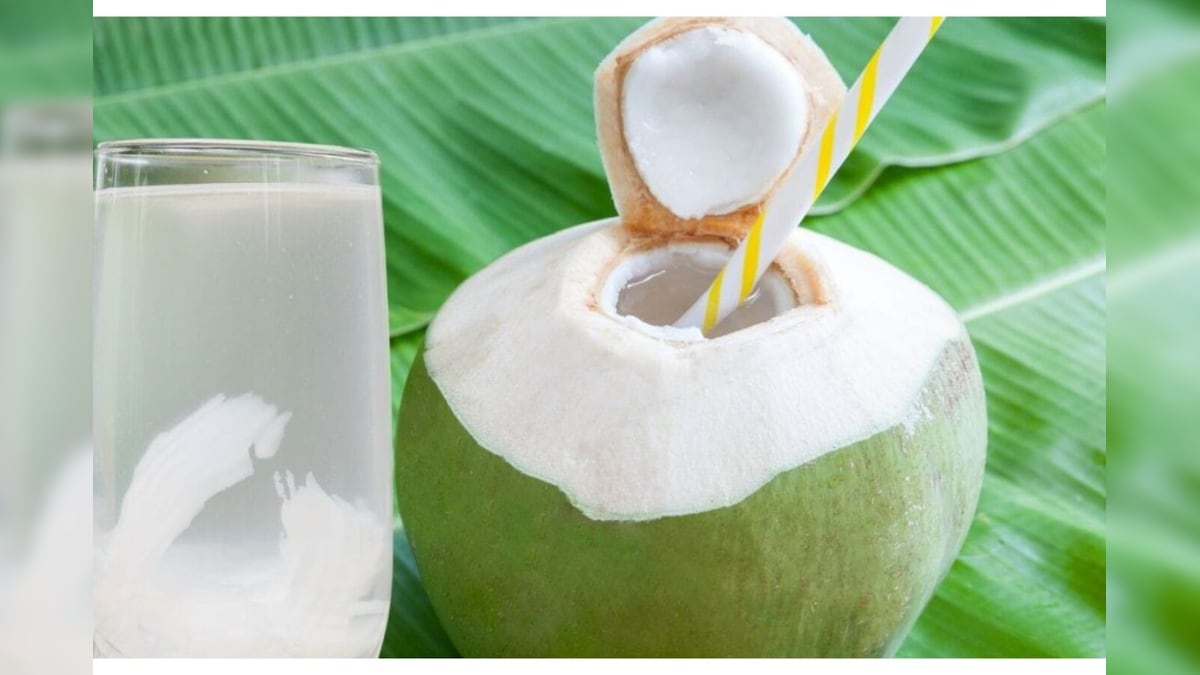 Health Tips: ಎಳನೀರು ಯಾವಾಗ ಕುಡಿದ್ರೆ ಬೆಸ್ಟ್? ಬೆಳಗ್ಗೆ ಕುಡಿಯಬೇಕೋ? ರಾತ್ರಿ ಕುಡಿಯಬೇಕೋ?