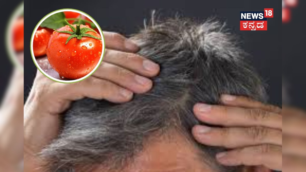Hair Problem: ಹೇರ್ ಕಲರ್ ಬಿಟ್ಟಾಕಿ, ಟೊಮೆಟೊ ಬಳಸಿ! ಕಪ್ಪು ಕೂದಲಿಗಾಗಿ 15 ನಿಮಿಷಗಳಲ್ಲೇ ಮಾಡಿ ಈ ಮನೆಮದ್ದು