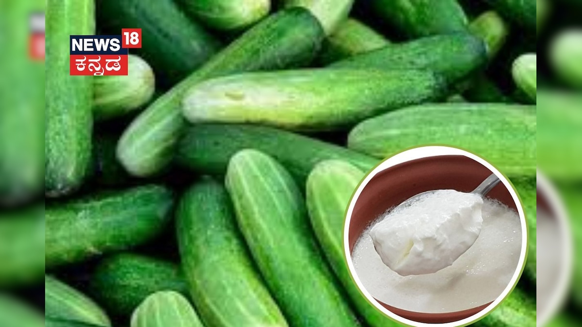 Health Tips: ಮೊಸರು ಮತ್ತು ಸೌತೆಕಾಯಿ ಒಟ್ಟಿಗೆ ತಿನ್ನಬೇಡಿ! ತಿಂದ್ರೆ ಏನಾಗುತ್ತೆ ಗೊತ್ತಾ?