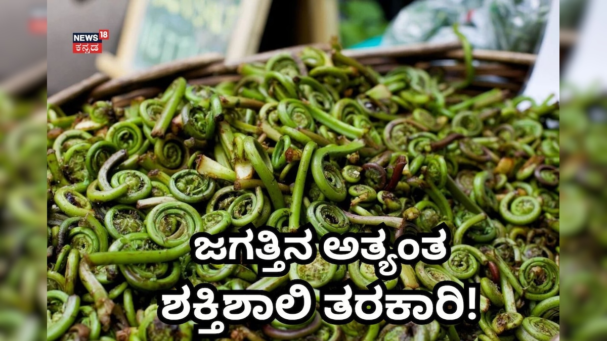 Fiddlehead: ಈ ತರಕಾರಿ ಮುಂದೆ ಕುರಿ, ಕೋಳಿ, ಮೀನು ಏನೂ ಅಲ್ವಂತೆ! ಜಗತ್ತಿನ ರುಚಿಕರ ತರಕಾರಿ ಇದಂತೆ!