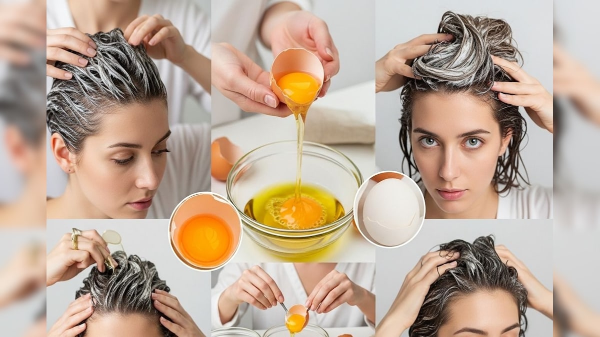 Hair Care: ಮೊಟ್ಟೆ ಕೂದಲಿಗೂ ನೀಡುತ್ತೆ ಕಾಂತಿ; ನಿಮ್ಮ ಒಣ ಕೂದಲನ್ನು ರೇಷ್ಮೆಯಂತೆ ನಯಗೊಳಿಸಲು ಈ ಟಿಪ್ಸ್​ ಫಾಲೋ ಮಾಡಿ!