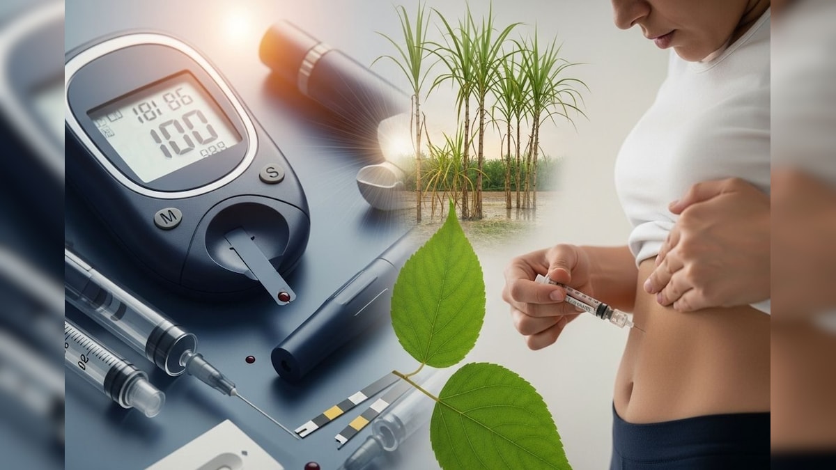Health Care: ಒಂದೆರಡಲ್ಲ ಈ ಎಲ್ಲಾ ಎಲೆಗಳು ಮಧುಮೇಹಿಗಳ ಪಾಲಿಗೆ ವರವಿದ್ದಂತೆ; ತಿಂದ್ರೆ ಹೈ ಇದ್ದರೂ ನಾರ್ಮಲ್‌ ಆಗುತ್ತೆ ಶುಗರ್!‌