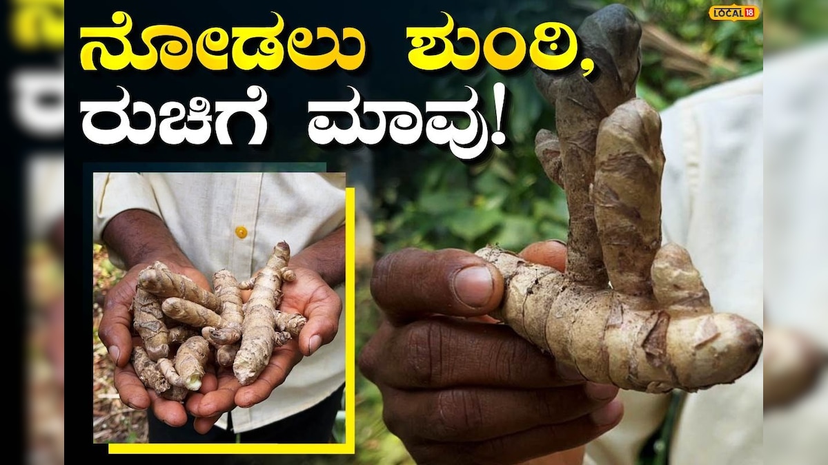 Health Tips: ಅಂಗೈ ಅಗಲದ ಅಂಬೆಕೊಂಬು ಏನೆಲ್ಲ ಮಾಡುತ್ತೆ ಗೊತ್ತಾ? ರುಚಿಗೂ ಸೈ, ಆರೋಗ್ಯಕ್ಕೂ ಸೈ ಈ ಪದಾರ್ಥ!