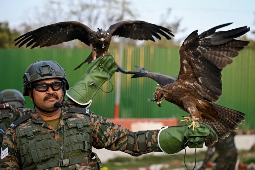 Trained Raptors Anti-Drone Strategy trained raptors: ನೀವಂದ್ಕೊಂಡಂಗಲ್ಲ ಆರ್ಮಿ ಹದ್ದುಗಳು ...