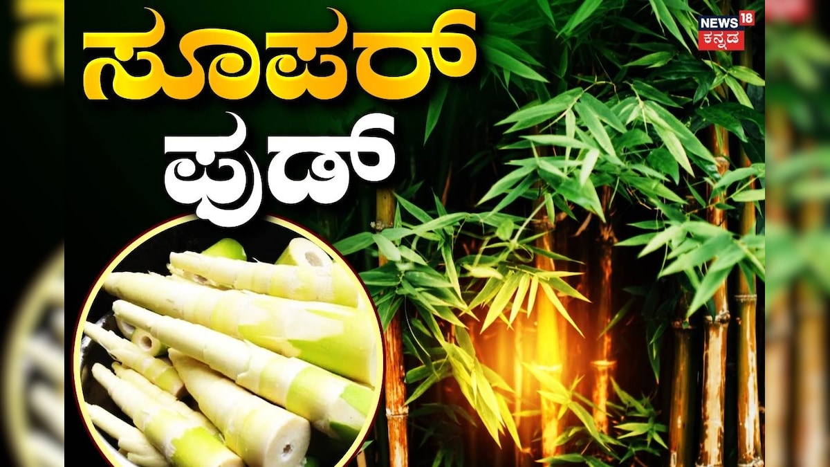 Bamboo: ಭವಿಷ್ಯದ ಸೂಪರ್ ಫುಡ್ ಅಂತೆ ಈ ಬಿದಿರಿನ ಚಿಗುರು! ಹೊಸ ಅಧ್ಯಯನ ಏನ್ ಹೇಳಿದೆ?