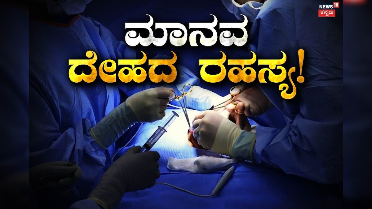 Human Body Organs: ಒಬ್ಬ ವ್ಯಕ್ತಿಯ ಮರಣದ ನಂತರ ದೇಹದ ಯಾವ ಅಂಗ ಹೆಚ್ಚು ಕಾಲ ಜೀವಂತವಾಗಿರುತ್ತದೆ? 90% ಜನರಿಗೆ ಗೊತ್ತಿಲ್ಲ!