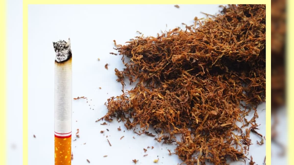 Health Tips: ಸಿಗರೇಟ್‌ಗಿಂತ ತಂಬಾಕು ಹೆಚ್ಚು ಅಪಾಯಕಾರಿಯೇ? ಇಲ್ಲಿದೆ ಕಹಿ ಸತ್ಯ!