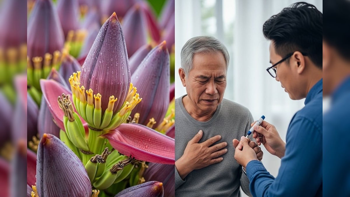 Health Care: ಡಯಾಬಿಟಿಸ್​ ಮತ್ತು ಹೃದ್ರೋಗಕ್ಕೆ ಈ ಹೂವೇ ಔಷಧ; ಪ್ರಯೋಜನ ತಿಳಿದ್ರೆ ದಿನಾ ತಿಂತೀರಿ!