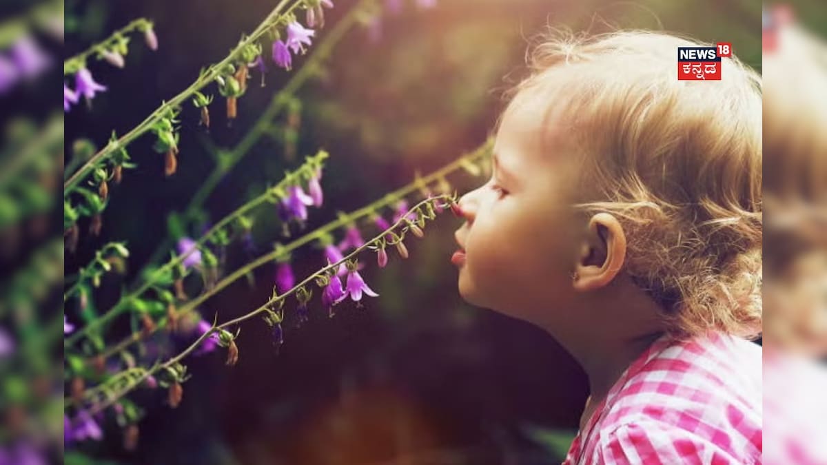 Baby Names: ನಿಮ್ಮ ಮಕ್ಕಳಿಗೆ ಈ ಹೂವುಗಳ ಹೆಸರಿಡಿ; ಆಕರ್ಷಕವಾಗೂ ಇರುತ್ತೆ, ಕರೆಯೋದಕ್ಕೂ ಚೆಂದ!