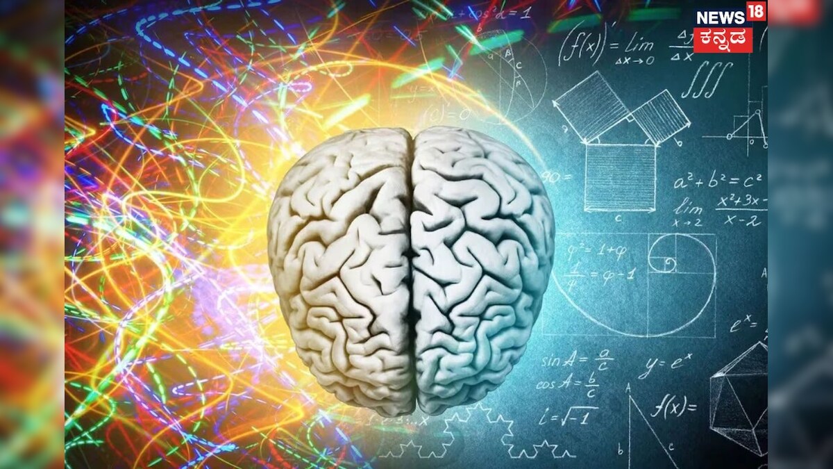 Brain Power: ನಮ್ಮ ಮೆದುಳು ಕೆಲವನ್ನು ಮರೆತು, ಕೆಲವನ್ನು ಮಾತ್ರ ನೆನೆಪಿಟ್ಟುಕೊಳ್ಳೋದ್ಯಾಕೆ? ಗೊತ್ತಾದ್ರೆ ಶಾಕ್ ಆಗ್ತೀರಿ