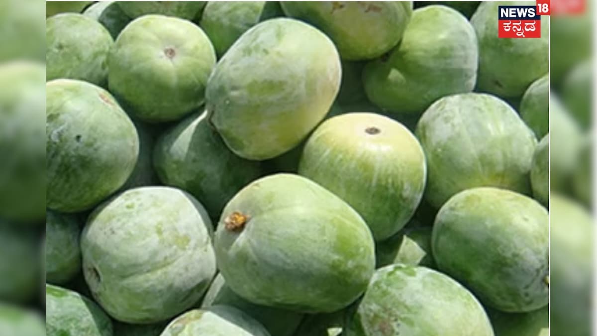 Ash Gourd: ಬರೀ ಪೂಜೆಗೆ ಅಷ್ಟೇ ಅಲ್ಲ! ಬೂದು ಕುಂಬಳಕಾಯಿ ಆರೋಗ್ಯ ಪ್ರಯೋಜನ ಗೊತ್ತಾದ್ರೆ ಮಿಸ್ ಮಾಡೋದೆ ಇಲ್ಲ!