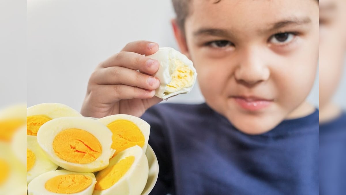 Egg: ಮೊಟ್ಟೆಯ ಜೊತೆಗೆ ಅಪ್ಪಿತಪ್ಪಿಯೂ ಈ ಆಹಾರ ಪದಾರ್ಥಗಳನ್ನ ಸೇವಿಸಬೇಡಿ! ತಿಂದ್ರೆ ನೀವು ಆಸ್ಪತ್ರೆಗೆ ಹೋಗೋದು ಗ್ಯಾರಂಟಿ