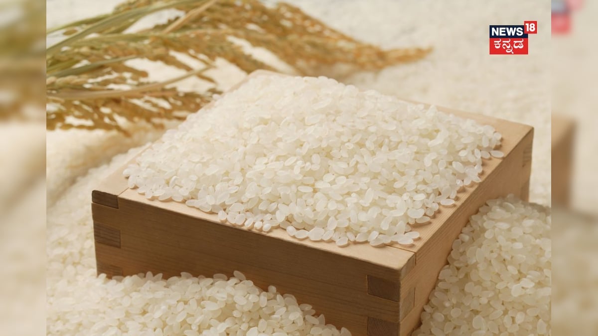 Rice: ನೀವು ಉಣ್ಣುತ್ತಿರುವುದು ನಿಜವಾದ ಅಕ್ಕಿಯಾ? ಪ್ಲಾಸ್ಟಿಕ್ ಅಕ್ಕಿಯಾಗಿದ್ರೆ ಟೆಸ್ಟ್ ಮಾಡೋದು ಹೇಗೆ?