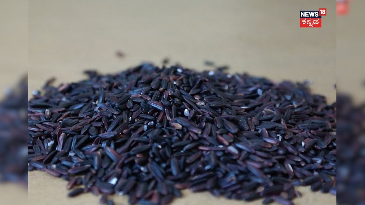 Black Rice: ಇದು ಅಕ್ಕಿ ಅಲ್ಲ ಸಂಜೀವಿನಿ! ಡೈಲಿ ಬ್ಲ್ಯಾಕ್ ರೈಸ್ ತಿಂದ್ರೆ ಆಸ್ಪತ್ರೆ ಮೆಟ್ಟಿಲು ಹತ್ತೋದು ತಪ್ಪುತ್ತೆ!