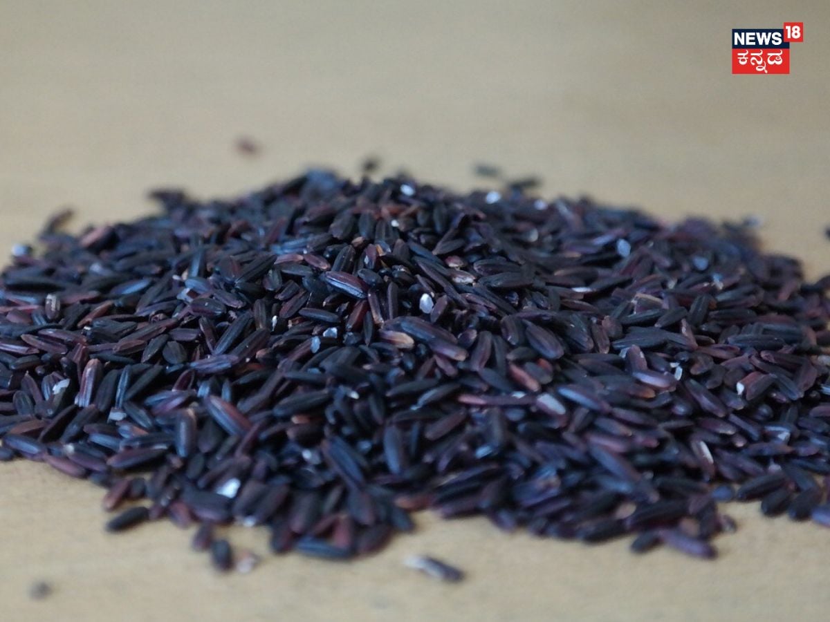 Blood Rice Inida Black Rice: ಇದು ಅಕ್ಕಿ ಅಲ್ಲ ಸಂಜೀವಿನಿ! ಡೈಲಿ ಬ್ಲ್ಯಾಕ್ ರೈಸ್ ತಿಂದ್ರೆ ...