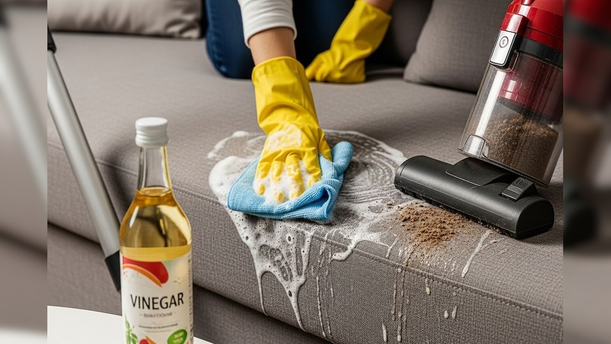 Cleaning Tips: ಸೋಫಾ ಕೆಟ್ಟ ವಾಸನೆ ಬರ್ತಿದ್ಯಾ? ಡೋಂಟ್​ವರಿ, ಒಂದು ನಯಾ ಪೈಸೆ ಖರ್ಚು ಮಾಡ್ದೆ, ಈ ಕೆಲಸ ಮಾಡಿ ಘಮ-ಘಮಿಸುತ್ತೆ!