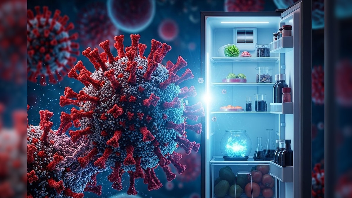 Health Care: ಬರೀ ಇದೊಂದು ತರಕಾರಿ ಫ್ರಿಡ್ಜ್‌ನಲ್ಲಿಟ್ಟರೆ ಕ್ಯಾನ್ಸರ್ ಜೀವನಪರ್ಯಂತ ಬರಲ್ವಂತೆ! ಇಂದೇ ಸ್ಟೋರ್ ಮಾಡಿ, ತಿನ್ನೋಕೆ ಶುರು ಮಾಡಿ!