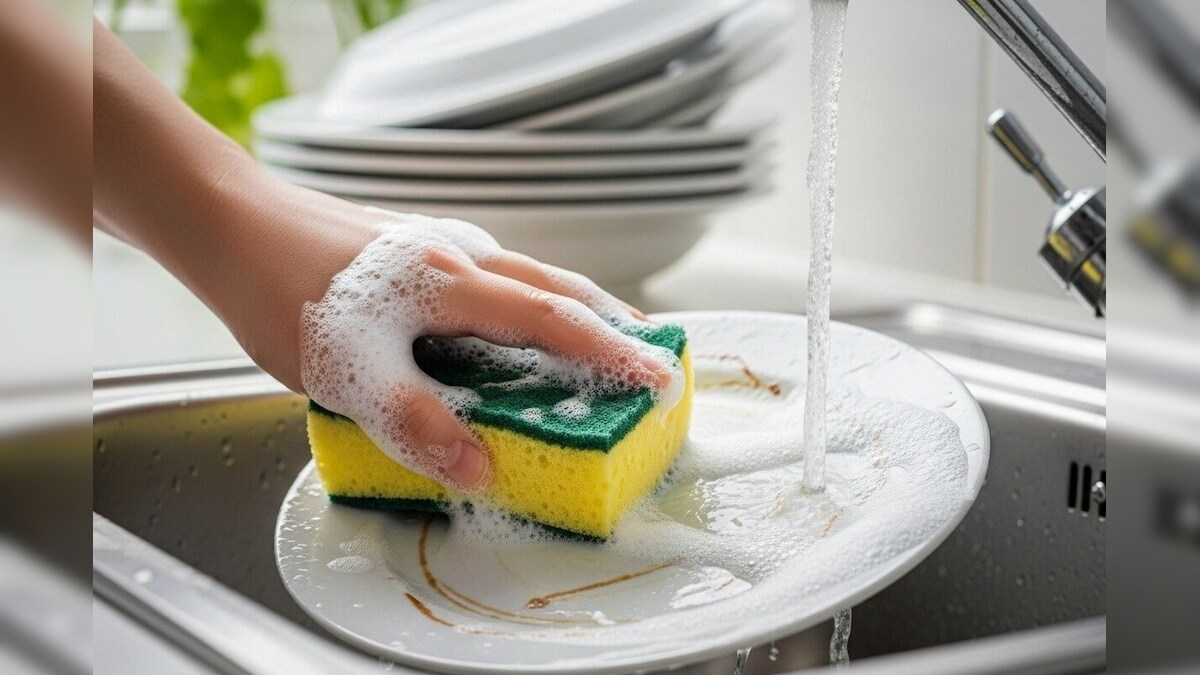 Kitchen Tips: ಪಾತ್ರೆ ತೊಳೆಯಲು ತಿಂಗಳುಗಟ್ಟಲೇ ಒಂದೇ ಸ್ಪಾಂಜ್ ಬಳಸ್ತಿದ್ದೀರಾ? ಎಂದಿಗೂ ಈ ತಪ್ಪು ಮಾಡಬೇಡಿ ಹುಷಾರ್!