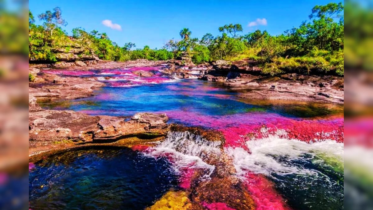 Nature Wonder: AI ಅಲ್ಲ, ಇದು ಪ್ರಕೃತಿಯ ಅದ್ಭುತ, ಈ ಐದು ಬಣ್ಣಗಳ ನದಿ ನೋಡಿದ್ದೀರಾ?