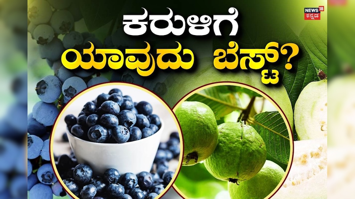Gut Health: 100 ರೂಪಾಯಿಯ ಪೇರಳೆಯಾ? 2000ದ ಬ್ಲೂಬೆರ್ರಿಯಾ? ಕರುಳಿನ ಆರೋಗ್ಯಕ್ಕೆ ಯಾವುದು ಬೆಸ್ಟ್?