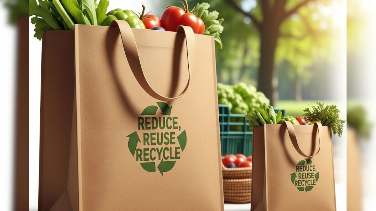 General Knowledge: ಶಾಪಿಂಗ್ ಬ್ಯಾಗ್ ಯಾವಾಗಲೂ ಕಂದು ಬಣ್ಣದಲ್ಲಿರೋದ್ಯಾಕೆ? ದಿನಾ ಬಳಸುವವರಿಗೂ ಗೊತ್ತಿರದ ವಿಚಾರ ಇಲ್ಲಿದೆ!