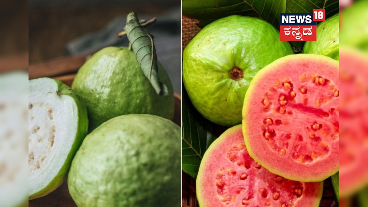 Guava Benefits: ಕೆಂಪು ಪೇರಳೆ vs ಬಿಳಿ ಪೇರಳೆ, ಆರೋಗ್ಯಕ್ಕೆ ಯಾವುದು ಬೆಸ್ಟ್ ಗೊತ್ತಾ?