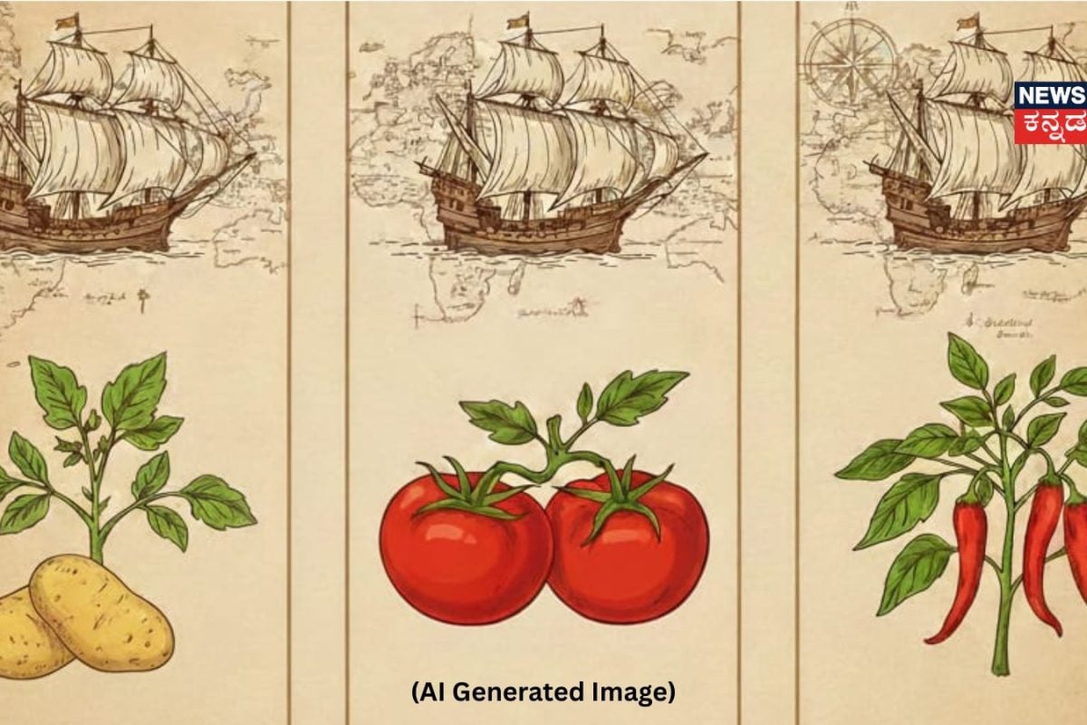 GK: ಆಲೂಗಡ್ಡೆ, ಟೊಮೆಟೊ, ಮೆಣಸು ನಮ್ಮ ದೇಶದ್ದೇ ಅಲ್ಲ! ಇವು ಭಾರತಕ್ಕೆ ಬಂದಿದ್ದು ಹೇಗೆ ಗೊತ್ತಾ?