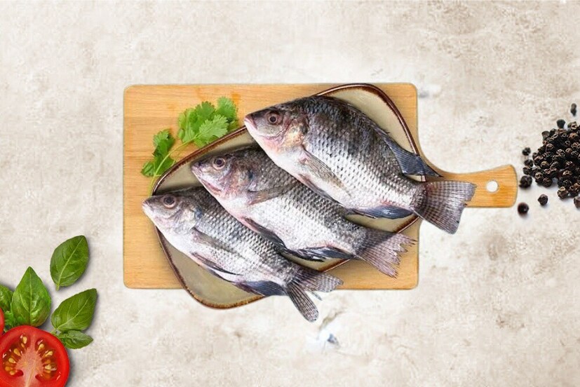 Fish: ಪ್ರಪಂಚದಲ್ಲಿ ಅತೀ ಹೆಚ್ಚು ಮೀನು ತಿನ್ನೋ ದೇಶ ಯಾವುದು ಗೊತ್ತಾ? ಚಿಕನ್, ಮಟನ್ ...