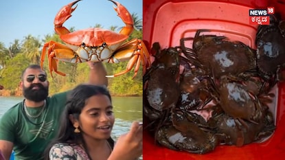 ರಘು-ರಕ್ಷಿತಾ ರಘು-ರಕ್ಷಿತಾ