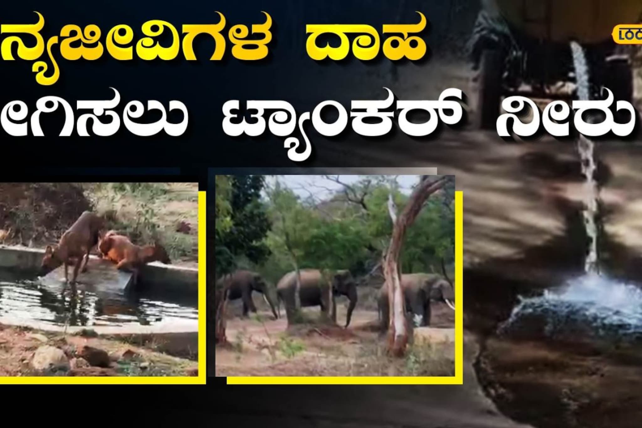 Belagavi: ಮೈ ನವಿರೇಳಿಸಿದ ಎತ್ತಿನಗಾಡಿ, ಕುದುರೆ ಶರ್ಯತ್ತು; ಬುಲೆಟ್ ಬೈಕ್ ಗೆದ್ದ ...