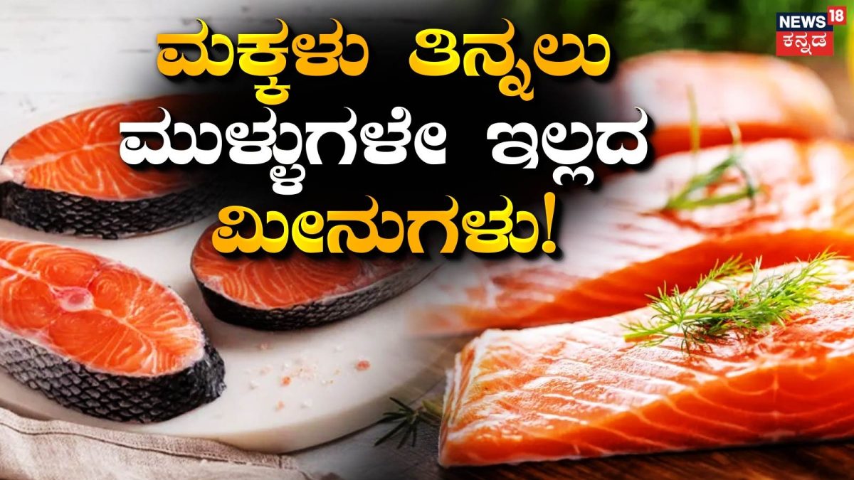 Boneless Fish: ಸಣ್ಣ ಮಕ್ಕಳಿಗೆ ತಿನ್ನಲು ಈ ಮೀನುಗಳು ಸೂಪರ್‌ ಬೆಸ್ಟ್‌! ಒಂದೇ ...