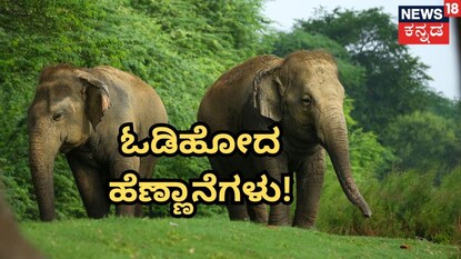 ಸಾಂಕೇತಿಕ ಚಿತ್ರ